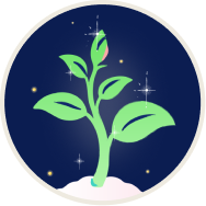 A digital-first format that grows with your creativity.