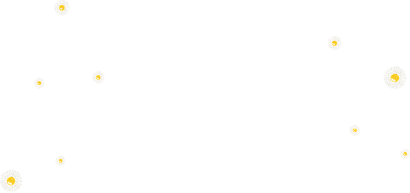 Fall in love with stories from new voices